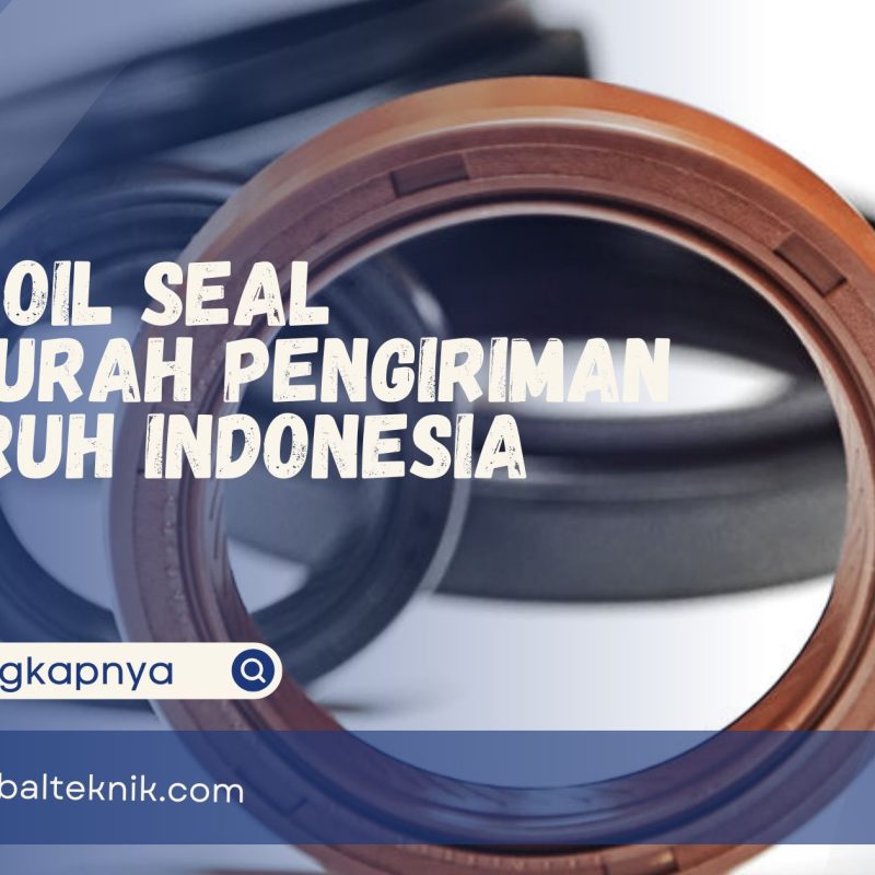 Oil Seal