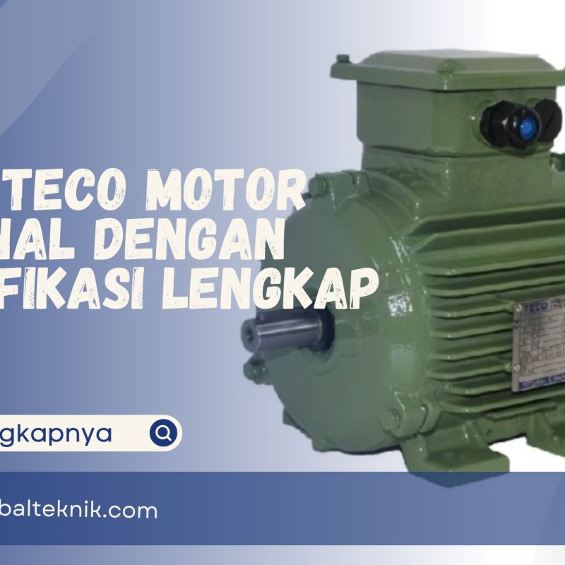 TECO motor
