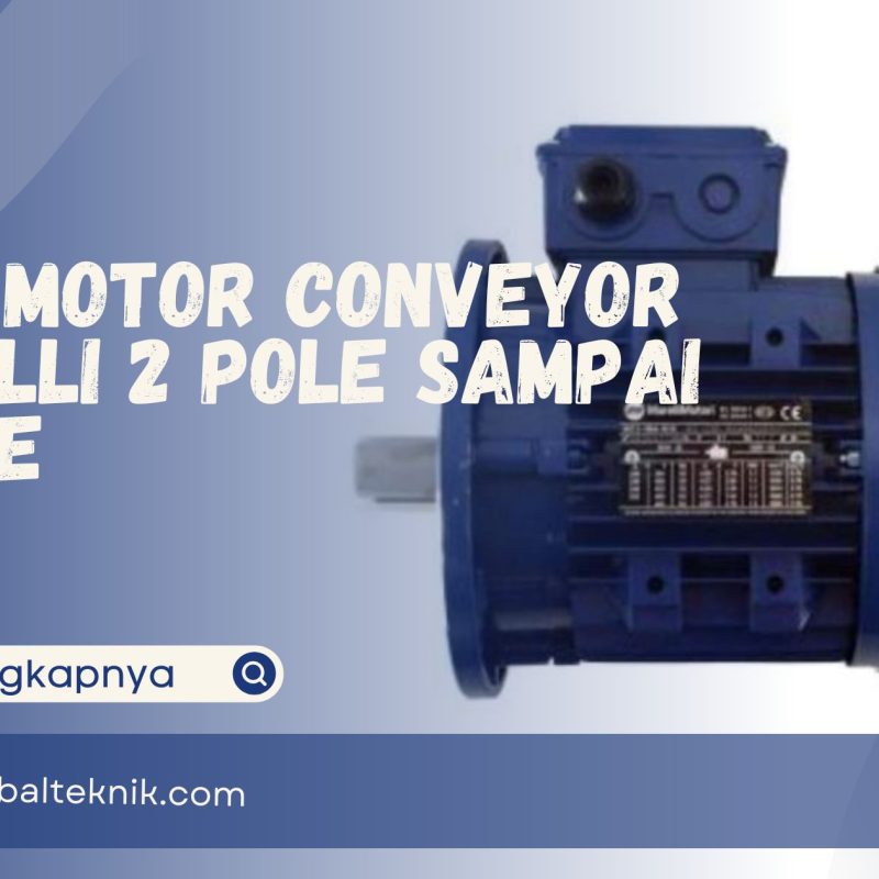 Jual Motor Conveyor Marelli 2 Pole sampai 8 Pole