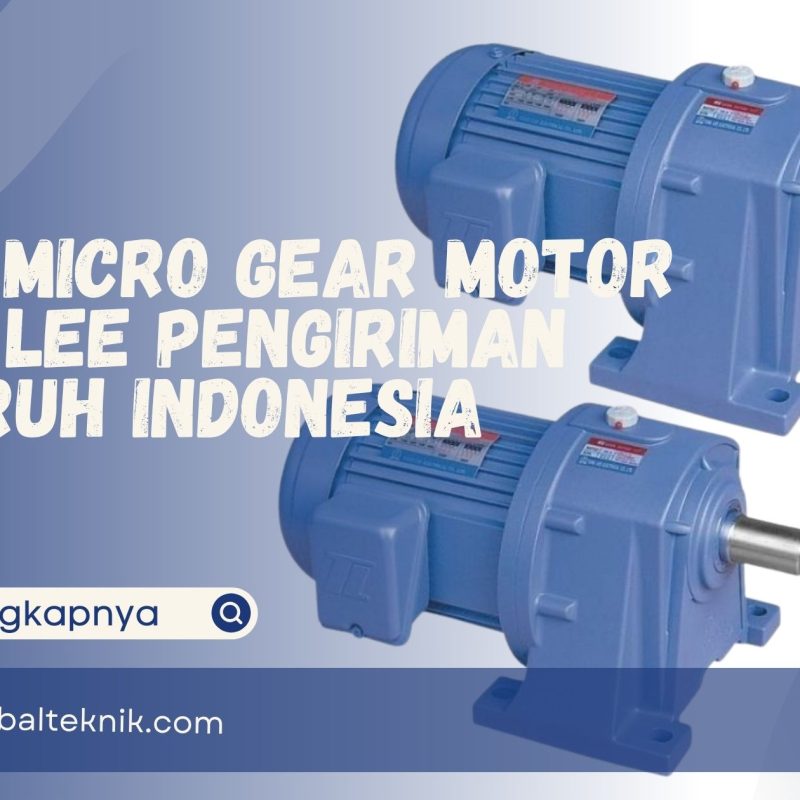 Jual Micro Gear Motor Tung Lee Pengiriman Seluruh Indonesia